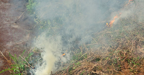 Brush Fire