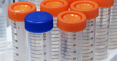 Disease Outbreaks & Biological Events
