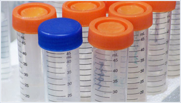 Disease Outbreaks & Biological Events