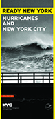 Hurricanes