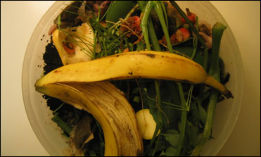 Learn about our newest program: the Mayor's Food Waste Challenge