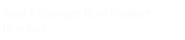 A Stronger, More Resilient New York