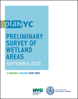 Preliminary Survey of Wetland Areas (September 2010)