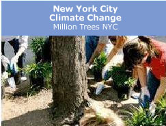 New York City | City Planning | Waterfront Area Zoning