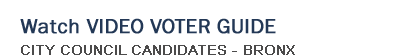 Watch Video Voter Guide - Bronx