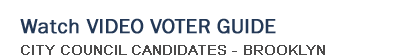 Watch Video Voter Guide - Brooklyn