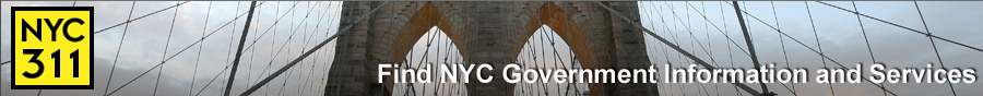 Find NYC Government Information and Services
