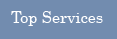 Top Services