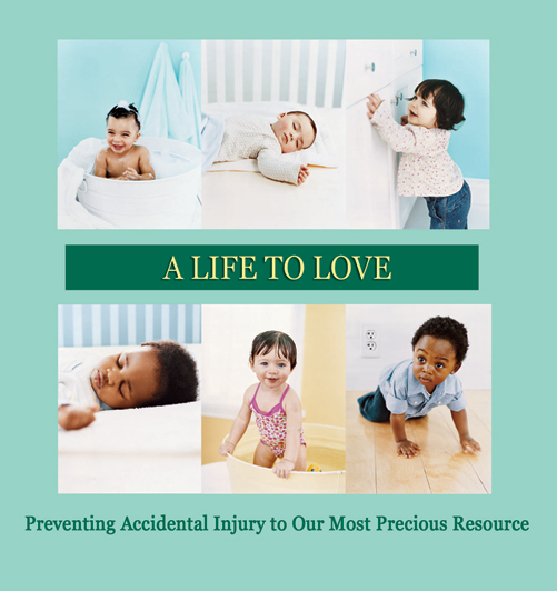 A Life to Love DVD cover