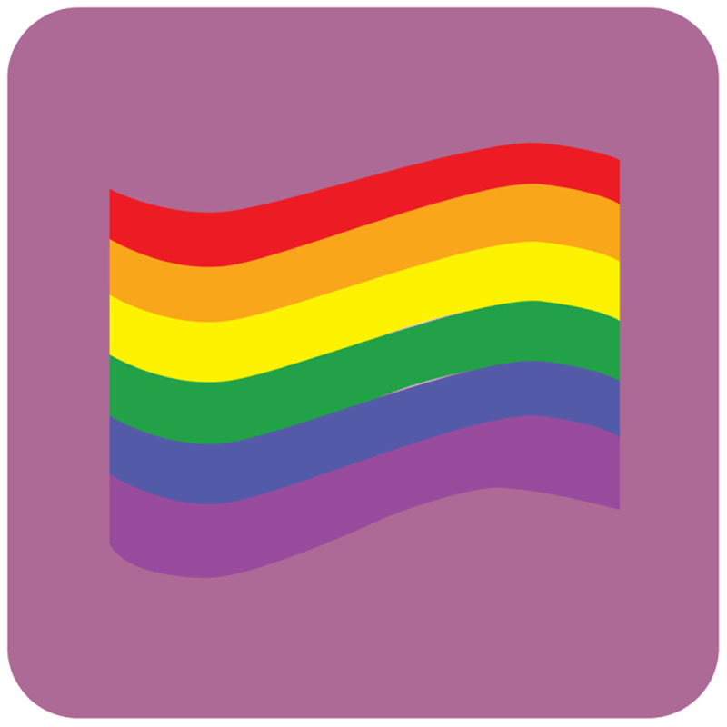 Title is LGBTQ with purple image displaying a rainbow flag