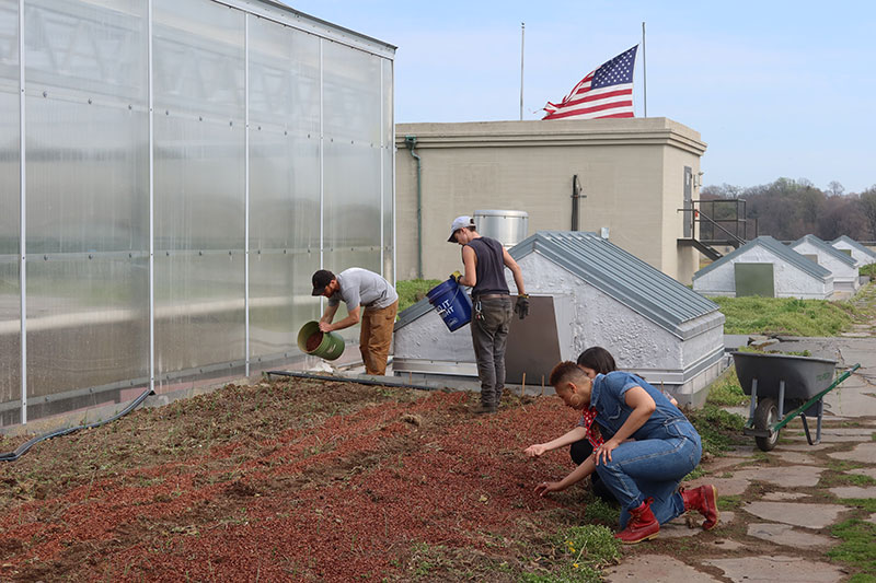 Photo caption: Director Mickie and Brooklyn Grange Co-founder Anastasia Cole Plakias inspect soil amendments at Brooklyn Grange rooftop farm in Sunset Park. 