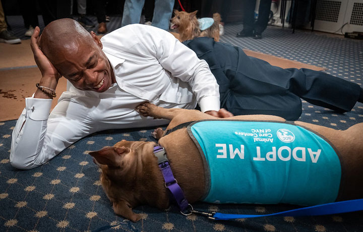 mayor adam is petting a dog while laying down on the floor
                                           