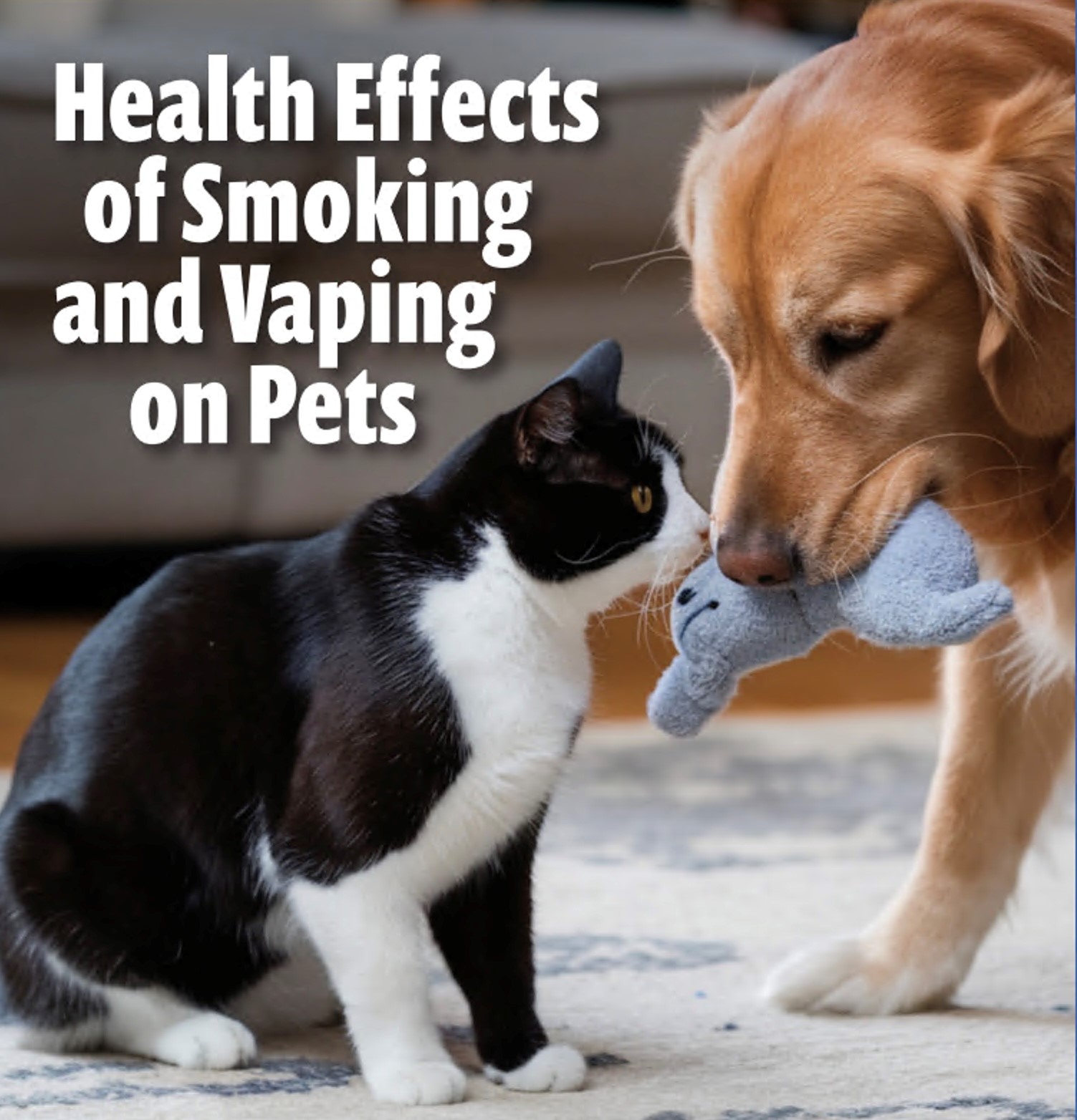 Image of a cat and dog with the text 'Health Effects of Smoking and Vaping on Pets'