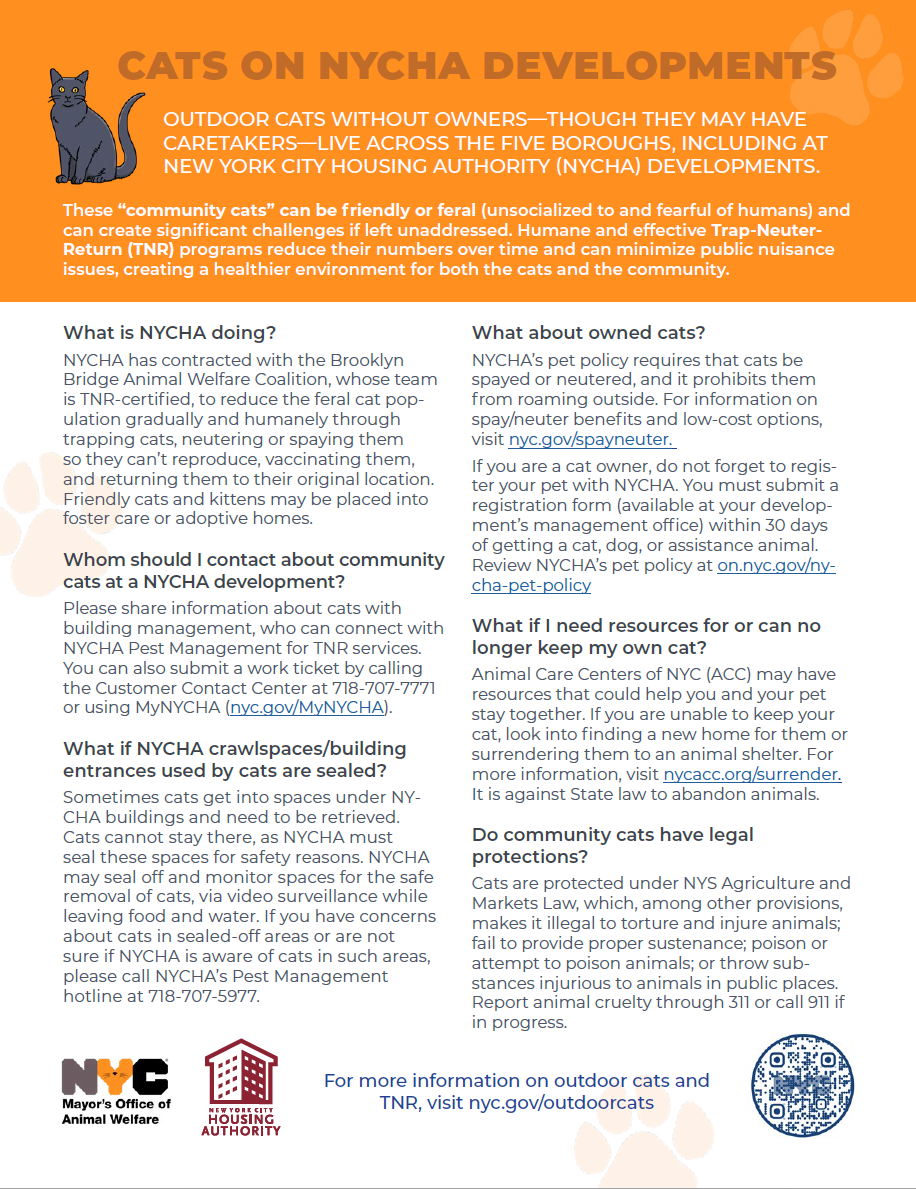 Screenshot of a flyer about Cats on NYCHA Developments.