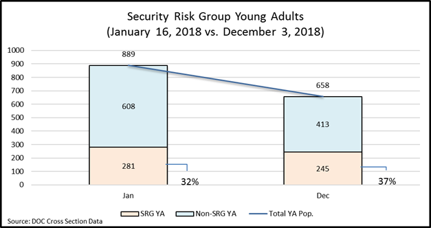 Security Risk Group Young Adults January 2018 to December 2018 
