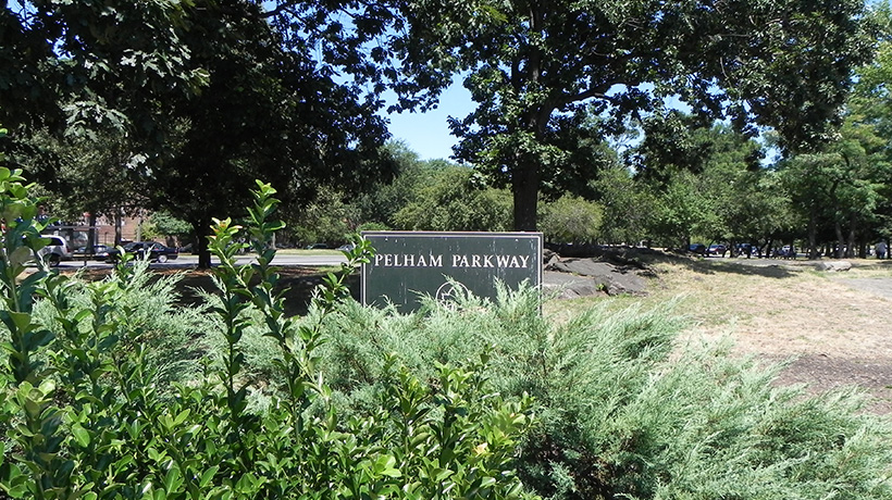 A nature area with a Parks Department sign that says Pelham Parkway
                                           