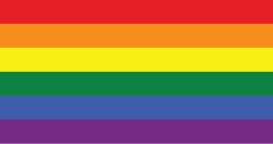 flag icon, indicates lgbtq+ status