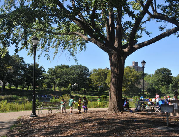 Crotona Park
                                           
