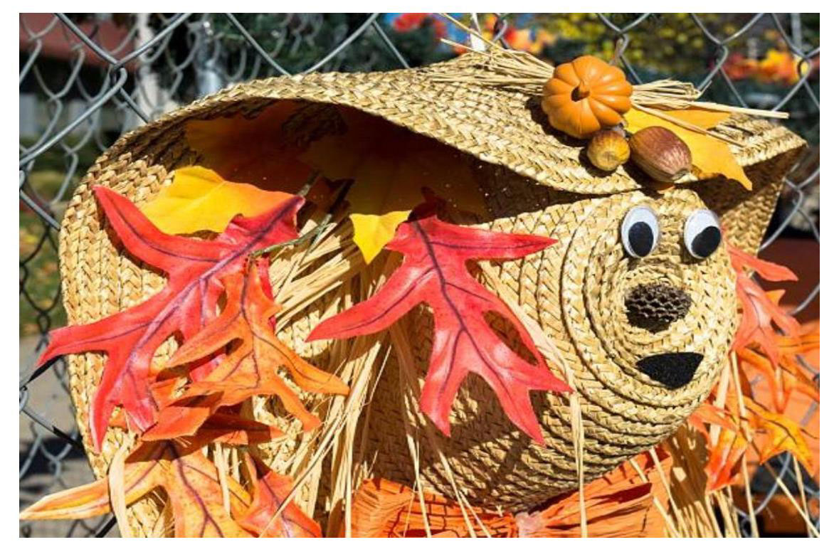 Fall Festival 2022