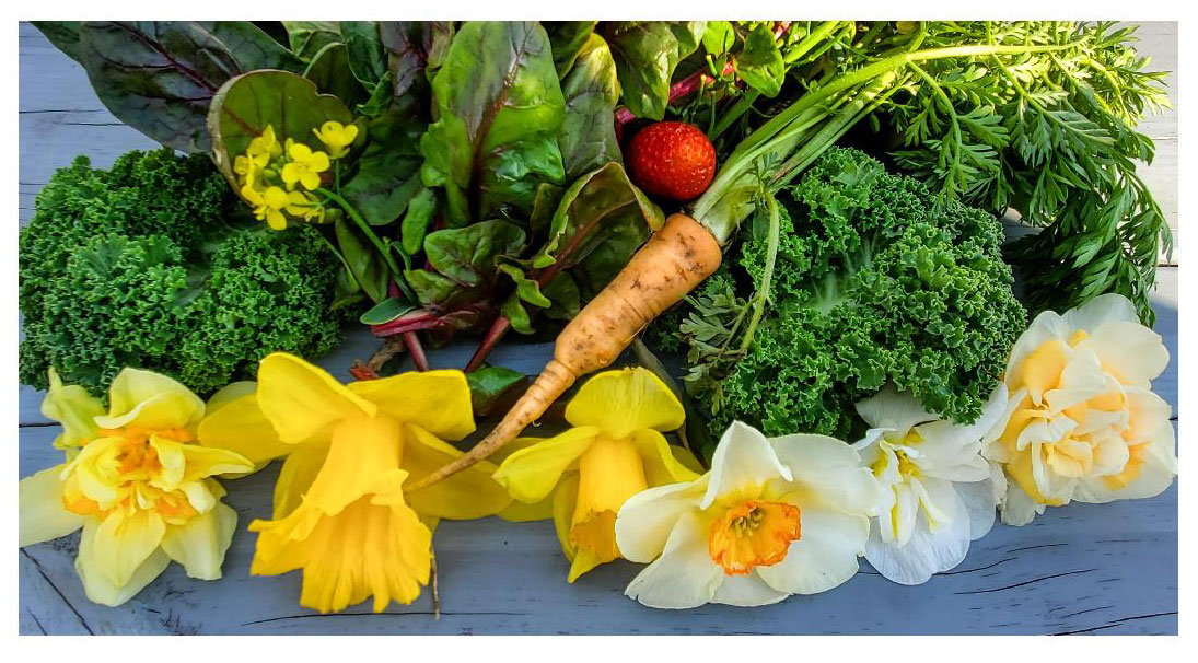 a mix of vegetables and fruits