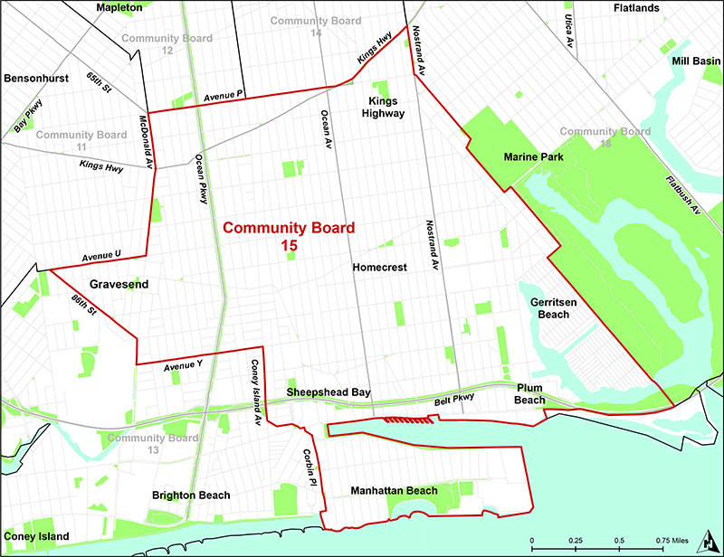 Map of Brooklyn community boards with focus on Community Board 15