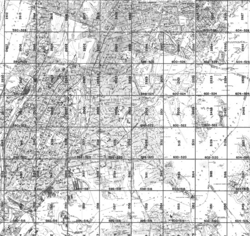 Bronx Tidal Wetland Map
