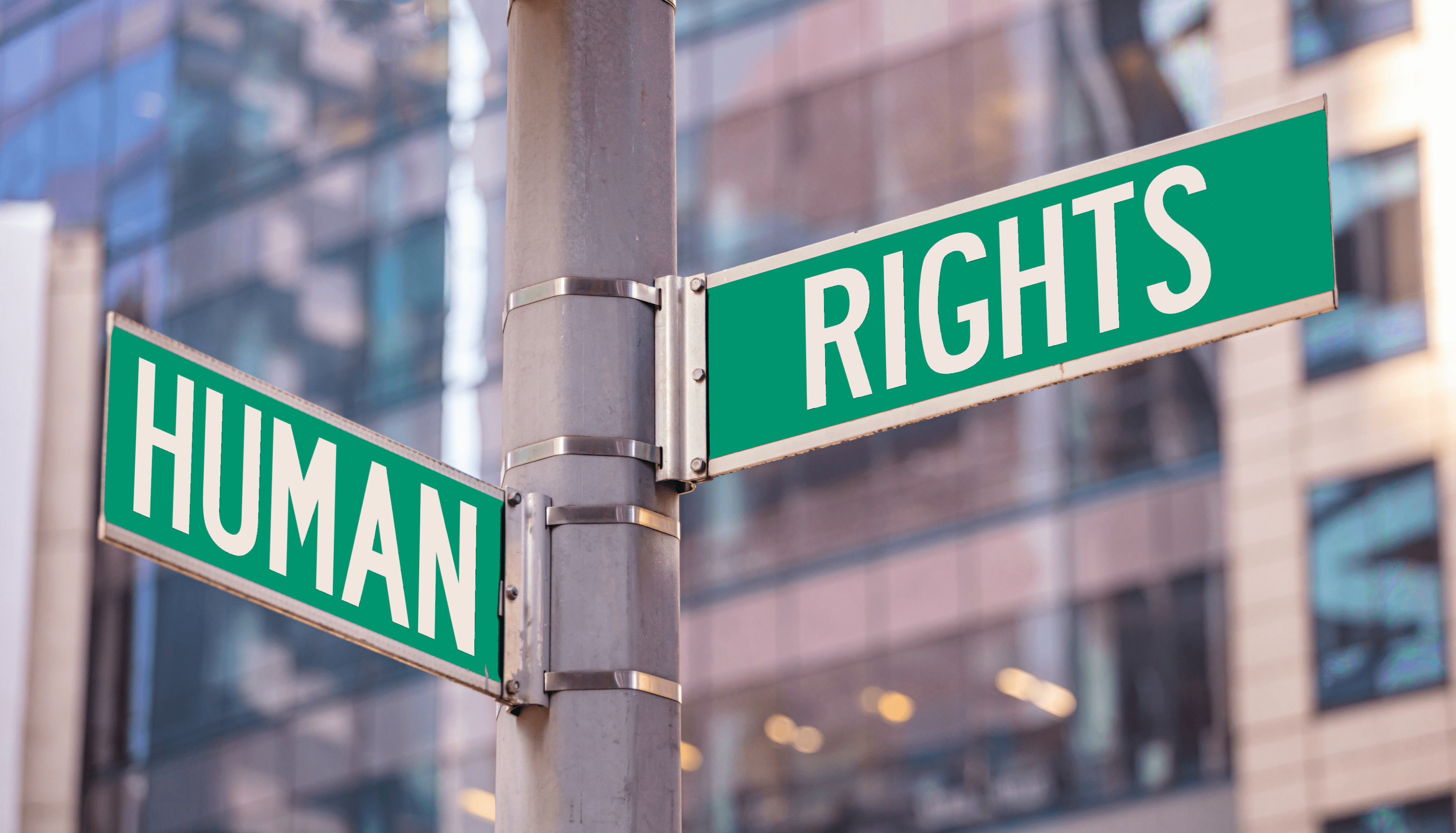The words “Human” and “Rights” written on NYC intersection street signs