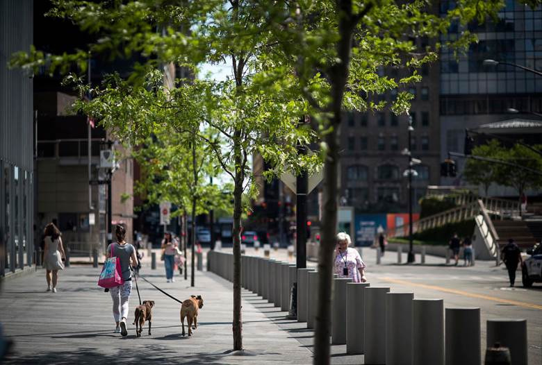 A woman walking her dogs on a leash. Description generated by AI