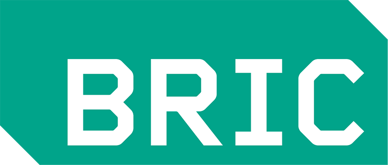 BRIC logo