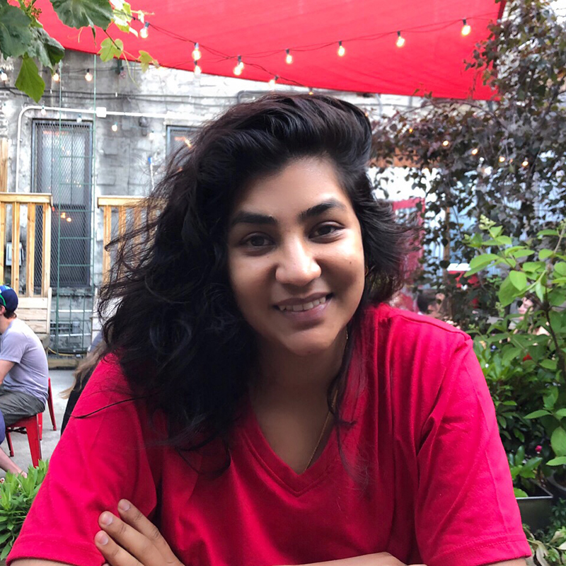 Afsana Monir