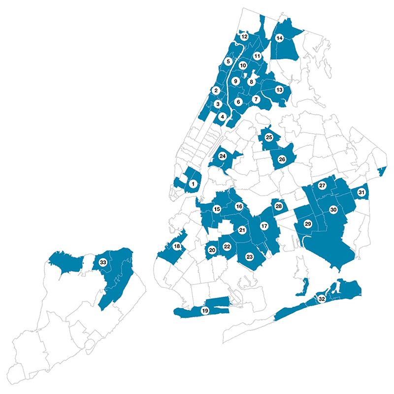 an illustration with of new york 5 boroughs divided by districts.