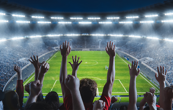 Back of fans cheering while facing a soccer field in an arena.
                                           