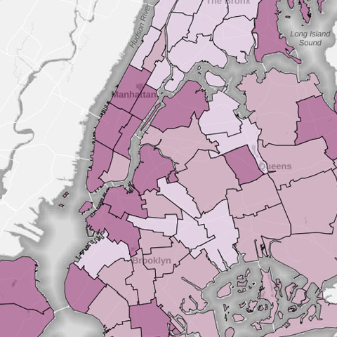 Zoomed in map of NYC with financial health indicators