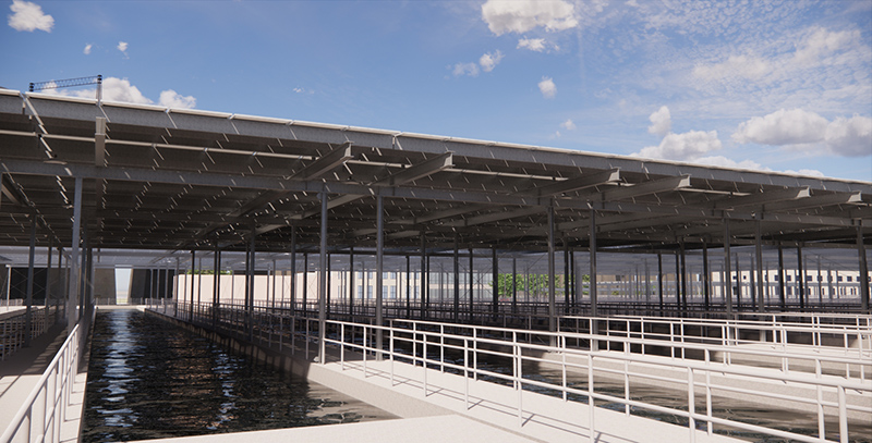 Rendering of a solar canopy installation over wastewater processing tanks at Wards Island Wastewater Resource Recovery Facility.