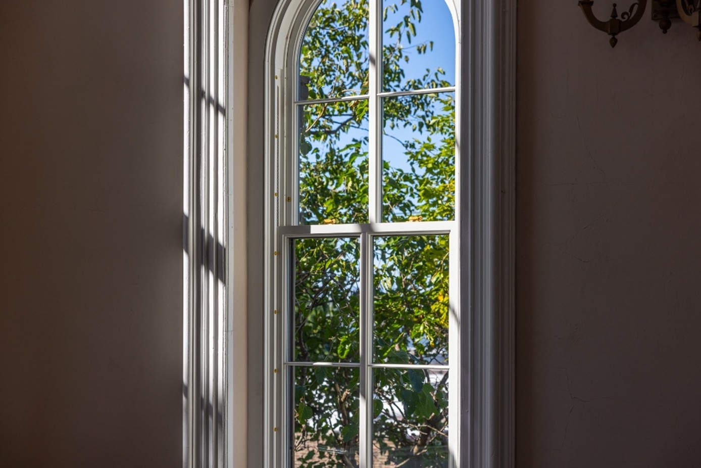 A closeup of a renovated window with the green limbs of a tree showing through