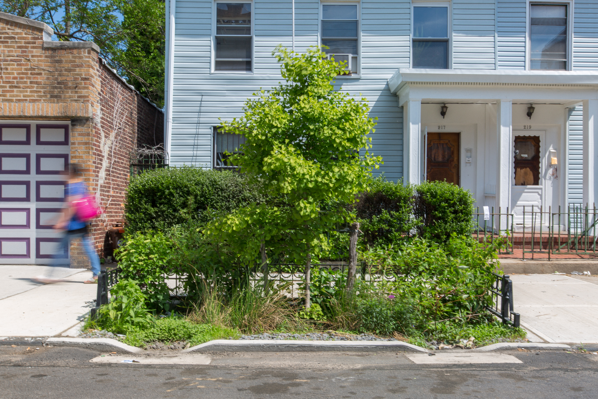 Bioswale - Williamsburg, Brooklyn<
