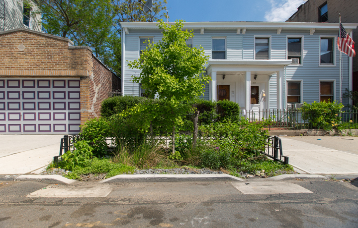 Rain garden