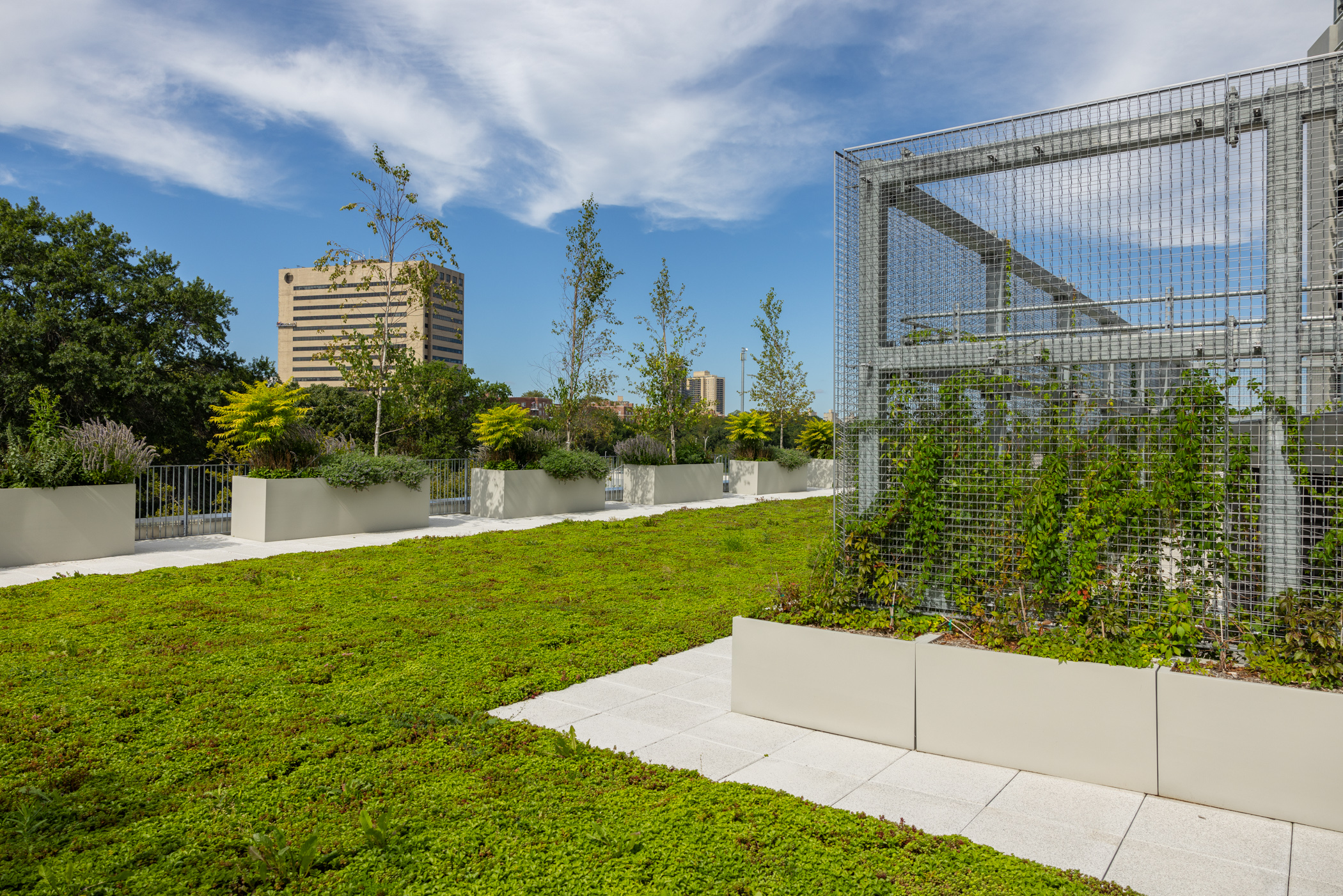 Partially planted green roof