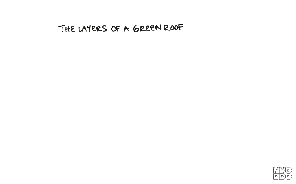 green-roof-layers