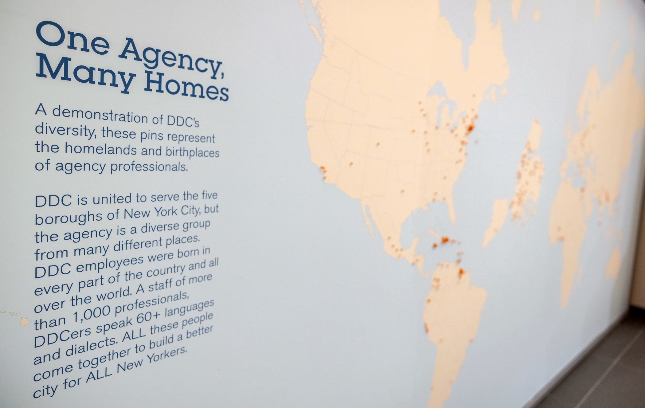 a world map with pins placed by employees to show where they were born