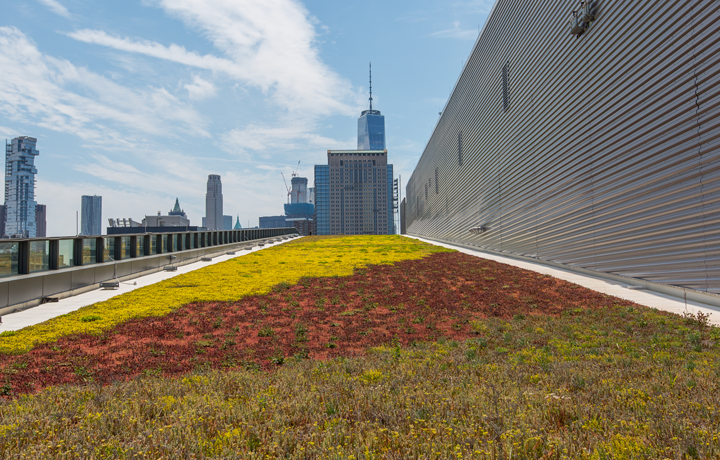 green roof at queens botanical garden