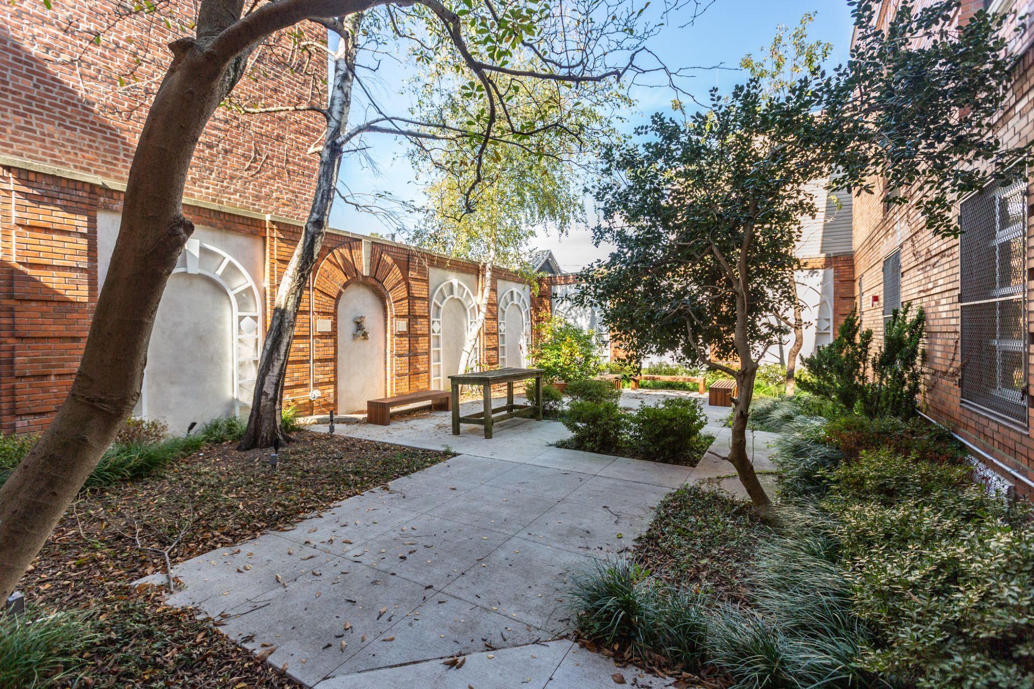 Rear garden of library on a sunny day