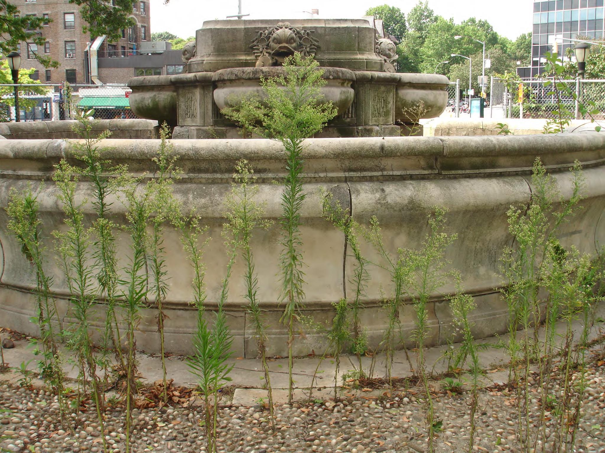 fountain base at Women’s Plaza