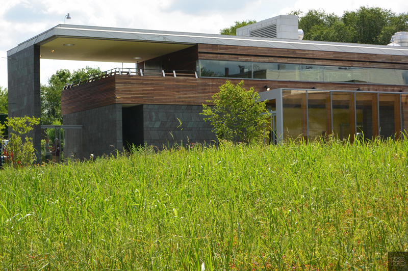 A view of the back of the Weeksville Heritage Center.