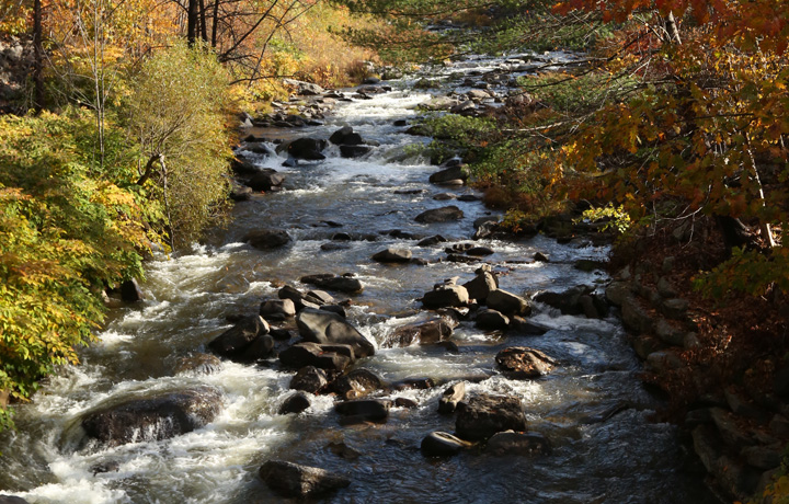 NYC Drinking Water Supply and Quality Report 2025
                                           