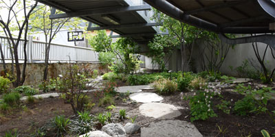 Plant lined pathway through the Newtown Creek Nature Walk