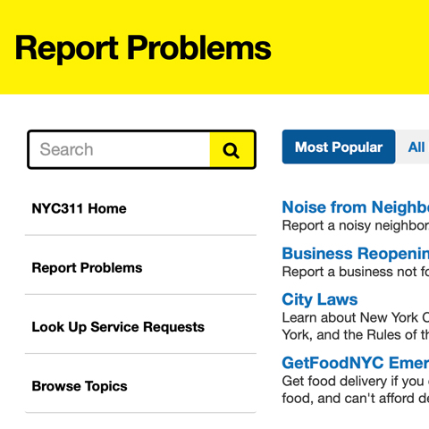 screen shot of the NYC 311 website
