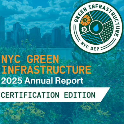 GI Annual Report