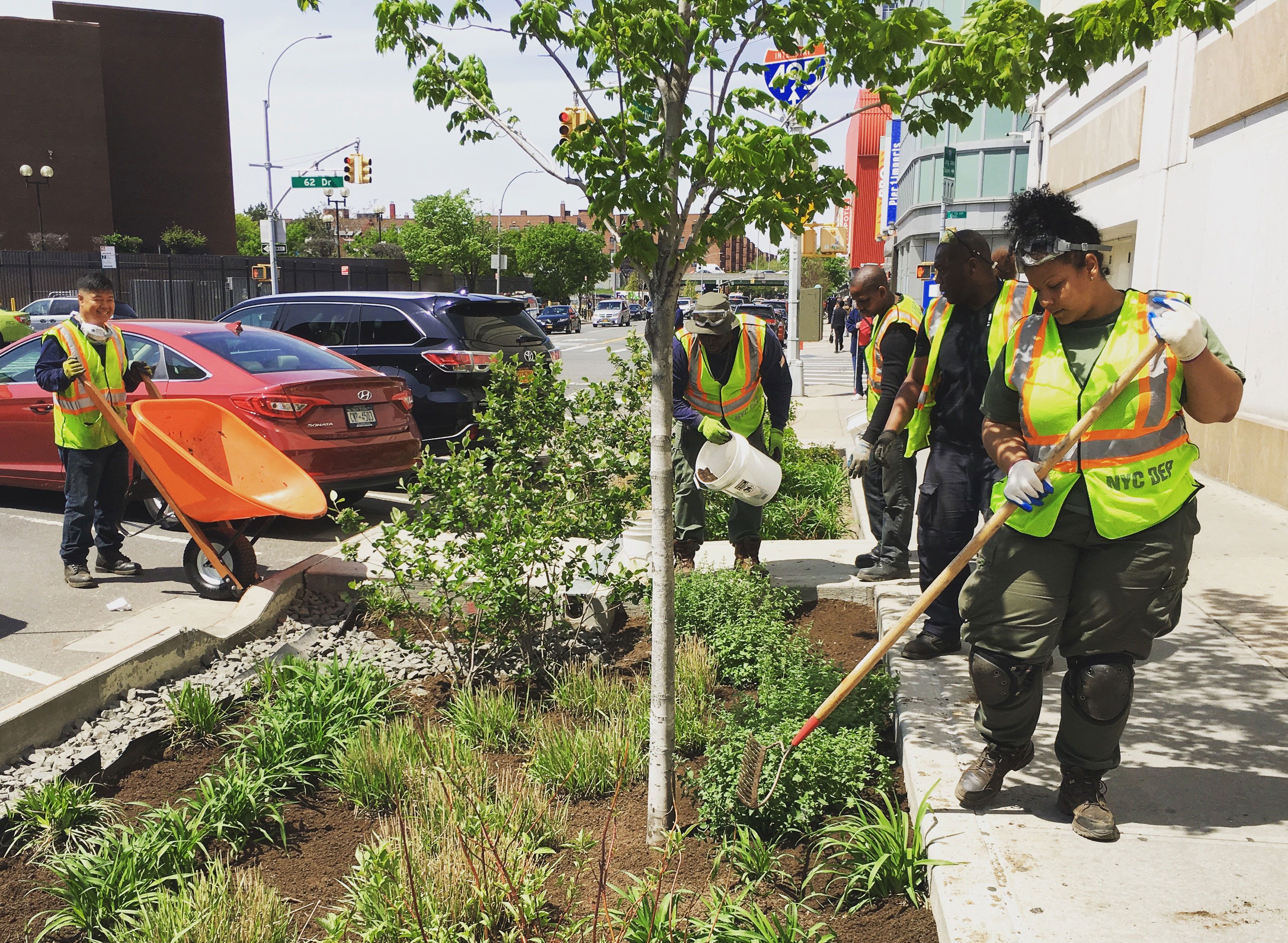 workers clean and prune a rain garden