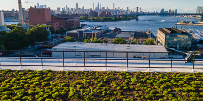 A green roof overlooking NY Harbor and Manhattan